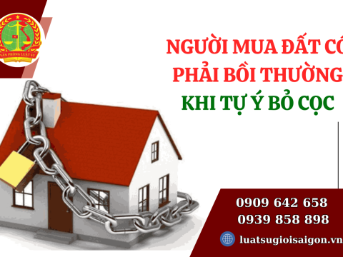 Người mua đất có phải bồi thường khi tự ý bỏ cọc không?