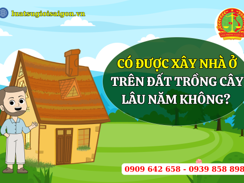 Có được xây nhà ở trên đất trồng cây lâu năm không?