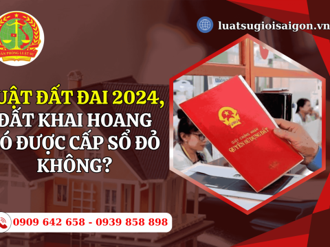 Theo Luật Đất đai 2024, đất khai hoang có được cấp sổ đỏ không?