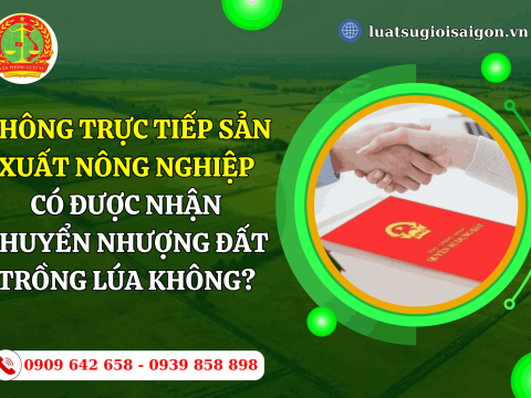 Không trực tiếp sản xuất nông nghiệp có được nhận chuyển nhượng đất trồng lúa không?