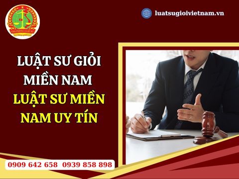 Luật sư giỏi Miền Nam, Luật sư Miền Nam uy tín