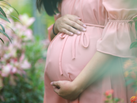 Quyền và nghĩa vụ của bên mang thai hộ vì mục đích nhân đạo?