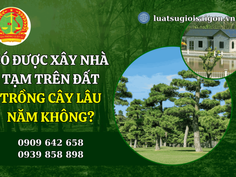 Có được xây nhà tạm trên đất trồng cây lâu năm không?