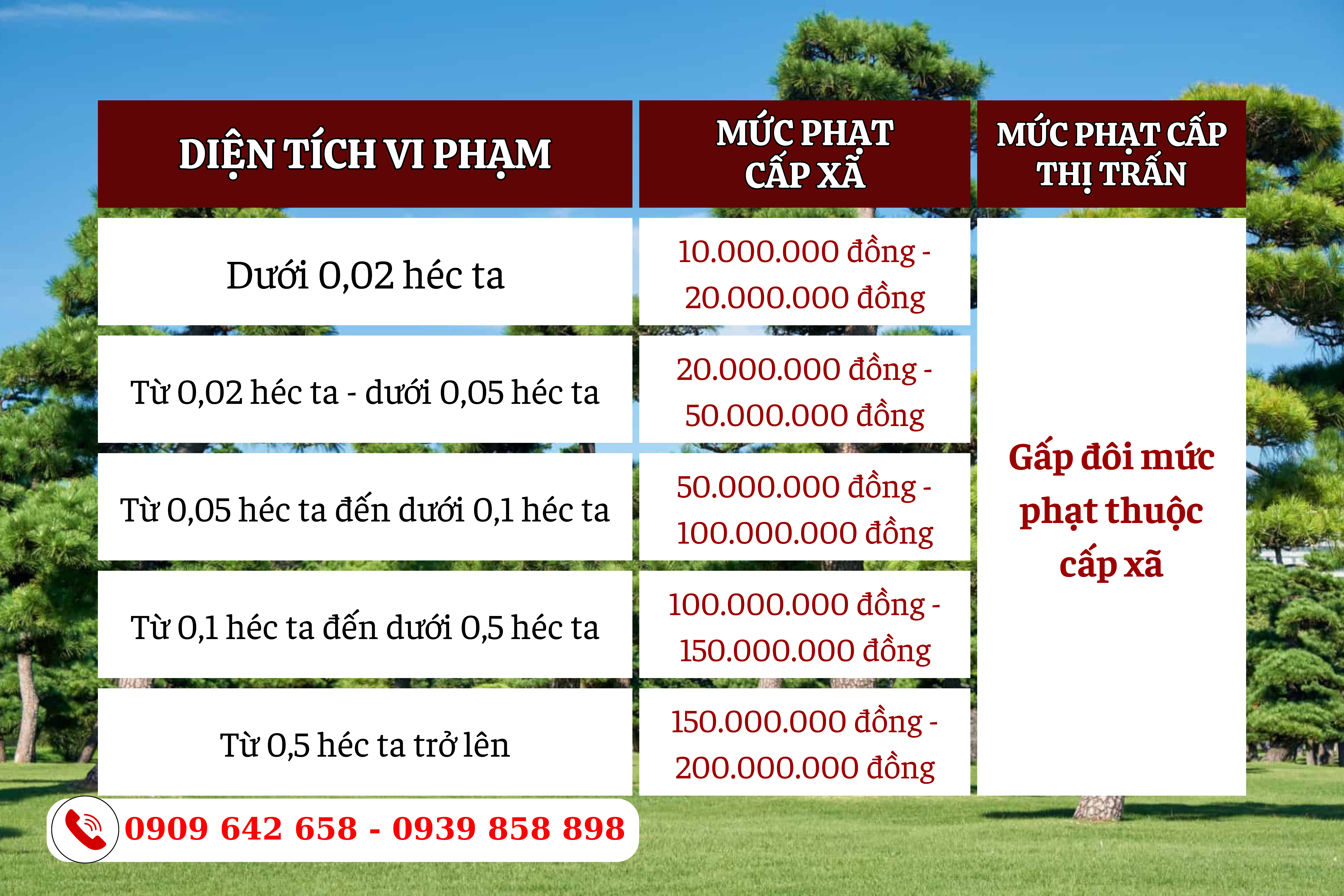 xay nha tam tren dat trong cay lau nam duoc khong 