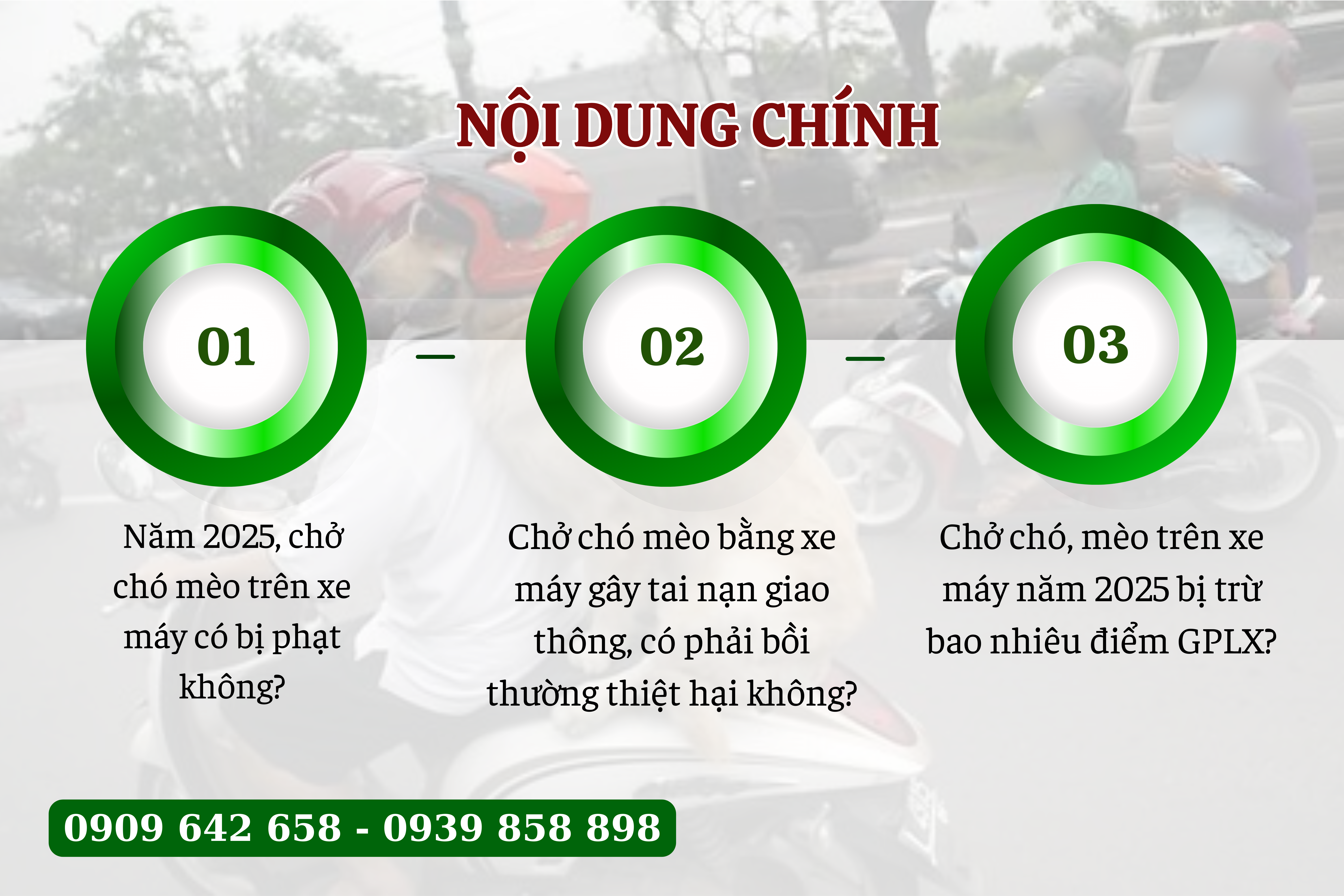 chay xe deo cho meo co vi pham khong - 1